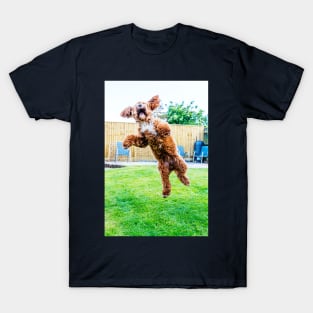 Crazy Cockapoo Puppy T-Shirt